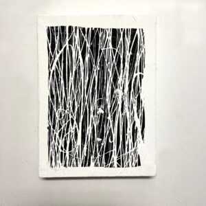 Looking through Thin Lines 1 1