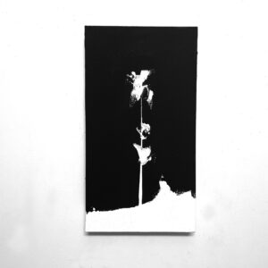 Love Letters to June Winter Flower scaled