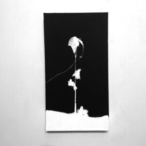 Love Letters to June Winter Flower2 1 scaled