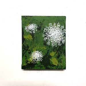 queen annes lace 4 1