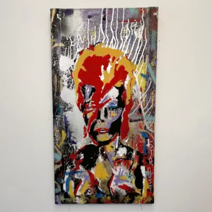 Ziggy StarDust - One of Many David Bowie's