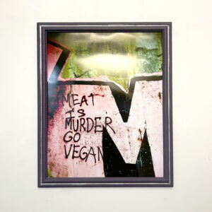 Meat is Murder Go Vegan