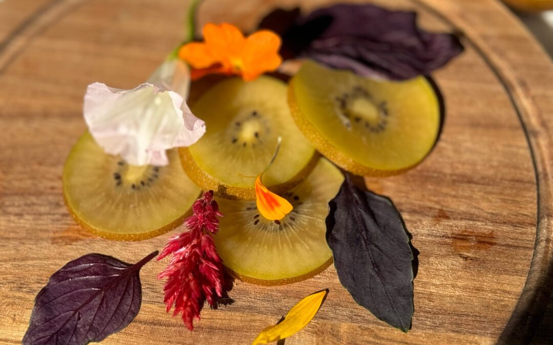 A Journey into Holistic Wellness: The Creation of Arati Ayurveda’s New Website